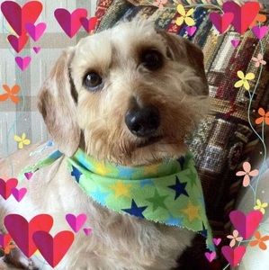 Meet your Posher, Vicki